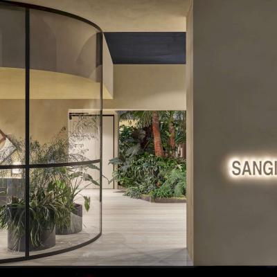 Msg Salone 2025 0040 Hdr